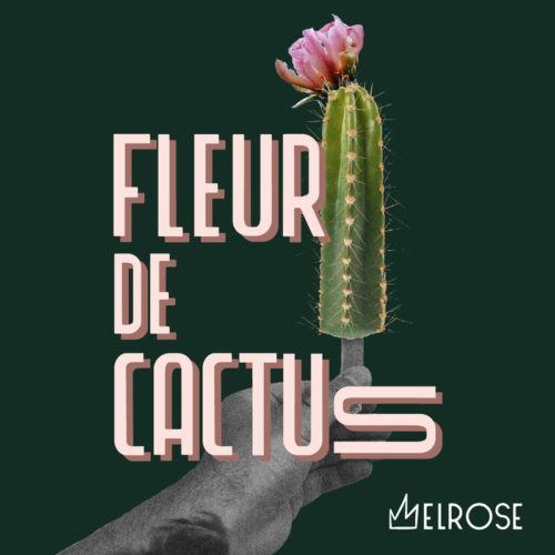 Fleur de cactus