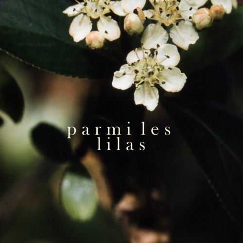 Parmis les lilas