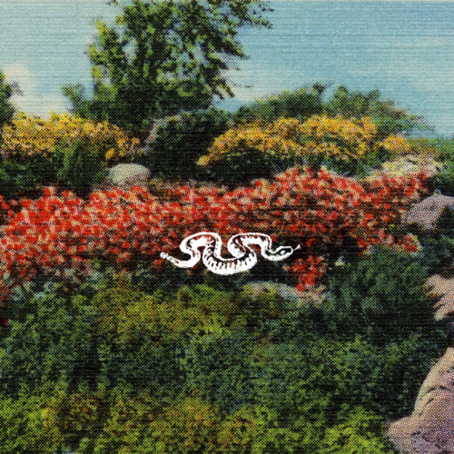 Album